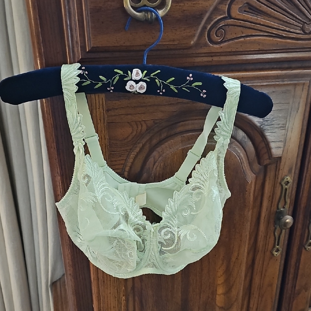 Empreinte Elegant Lace Bra in Light Green, 34 F